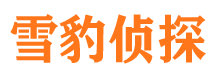 费县侦探公司